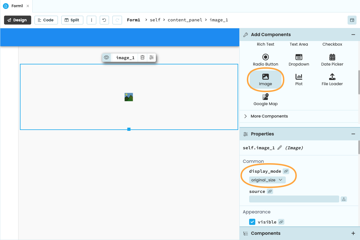 App in the Design View with a single FileLoader and a single Image in it