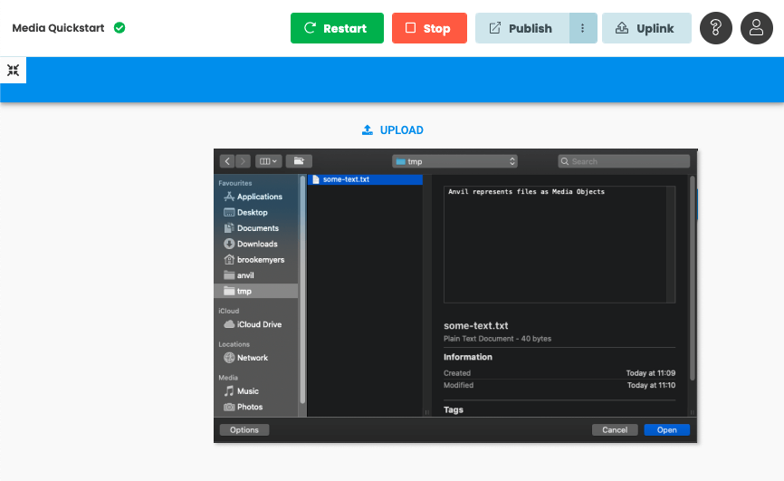 A running app with a FileLoader, showing a Mac OS file selection dialog