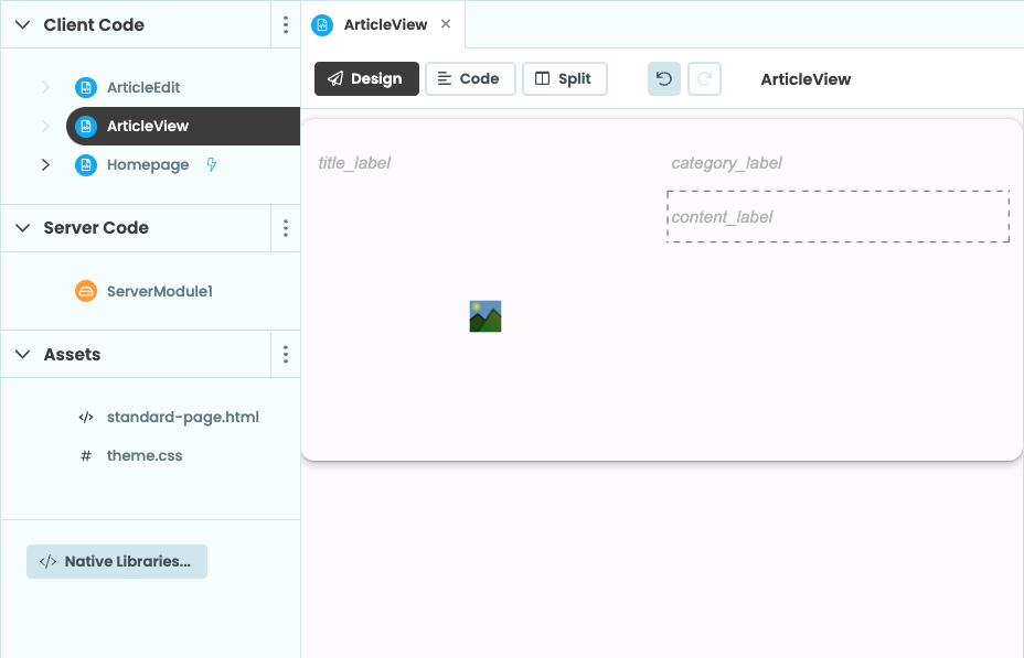 The 'ArticleView' Form in the designer